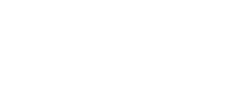 Elaborate Events logo